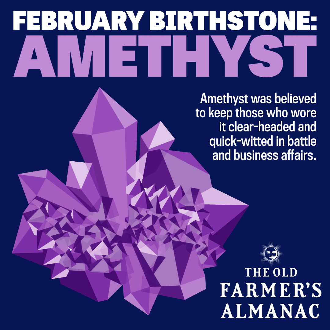 Feb birthstone on sale